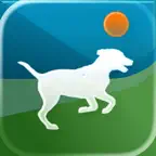 Dog forest iOS Icon