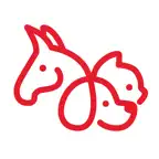 4Paws: Pet Health Tracking App iOS Icon