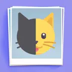 Guess What! - Shadow Pictures iOS Icon