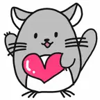 Chinchilla Minny 3 iOS Icon