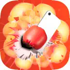 カメラボクシング iOS Icon