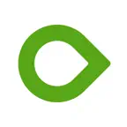 Dexcom ONE iOS Icon