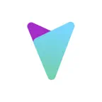 RideView Companion Icon