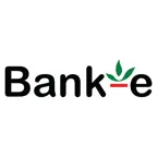 Bank-e Icon