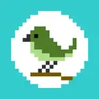 Warbler - pixel art editor iOS Icon