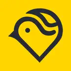 Rainbird Global iOS Icon