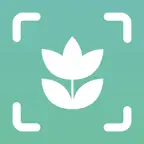 Plant ID Match: Identification iOS Icon