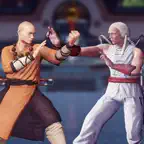 Shaolin vs Wutang - Fighting icon