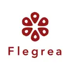 Pizzeria Flegrea iOS Icon