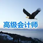 高级会计考试大全 iOS Icon
