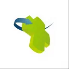 Impact Care Services iOS Icon