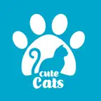كيوت كاتس | Cute cats iOS Icon