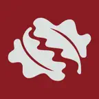 Skipton Castle Woods iOS Icon