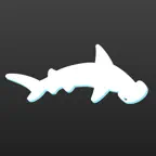 Hammerhead Rhythm Station iOS Icon
