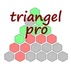 Triangel Pro iOS Icon
