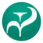 Artellect icon