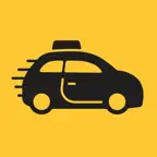 Slice Driver iOS Icon