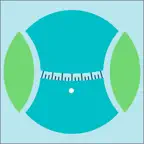LISA Obesidade iOS Icon