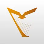 AmCham Ireland iOS Icon