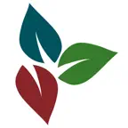 Christ Church Connect iOS Icon