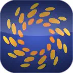 SFCE by Expo Tracker, LLC iOS Icon