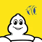 MICHELIN MyTechXpert iOS Icon