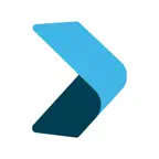 Paywise icon