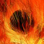 Distributed Fire iOS Icon