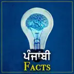 Punjabi Facts iOS Icon