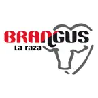 Brangus Paraguay iOS Icon