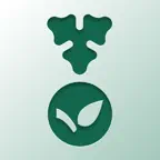 Cockpit iOS Icon