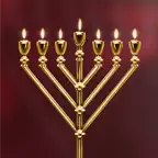 TORAH icon
