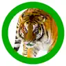 Animals 360
