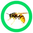InsectSpider Quest 360 iOS Icon