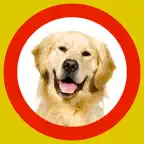 Dog Show 360x iOS Icon