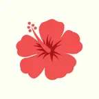 Ola Challenge iOS Icon