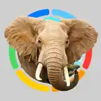 Real Animals 360 iOS Icon