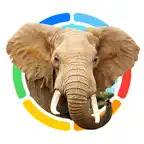 Real Animals 360x iOS Icon