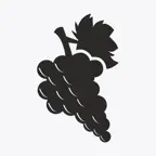 Chianti iOS Icon