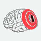 NeuroKeypoint AR iOS Icon