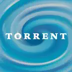 Torrent Pump Monitor iOS Icon