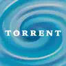 Torrent Pump Monitor