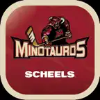Tauros Hockey iOS Icon
