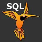 SQL Recipes Pro icon