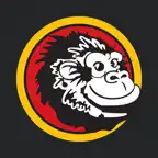 Gorilla Car Wash iOS Icon