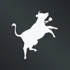 Swisscows Private Search iOS Icon