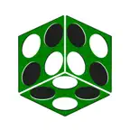 Synchro Reversi iOS Icon