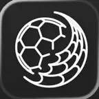 Tophåndbold icon