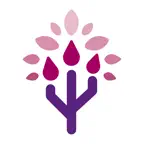 Titiro Icon