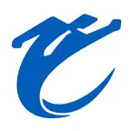 ConcilioExpert iOS Icon